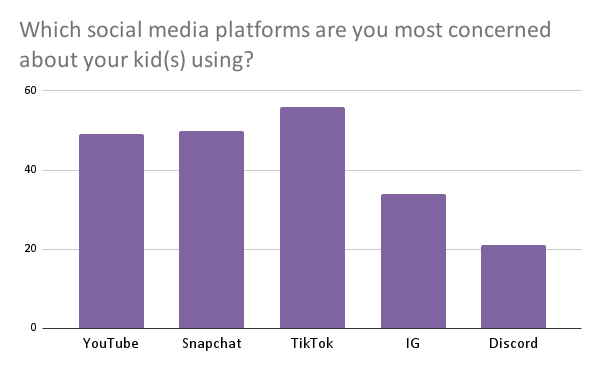 BAR CHART: Which social media platforms are you most concerned about your kid(s) using_______